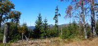 078 blaue sulen mit rachelblick